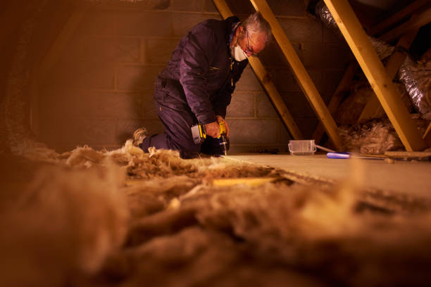 Best Insulation for New Construction  in Margate City, NJ